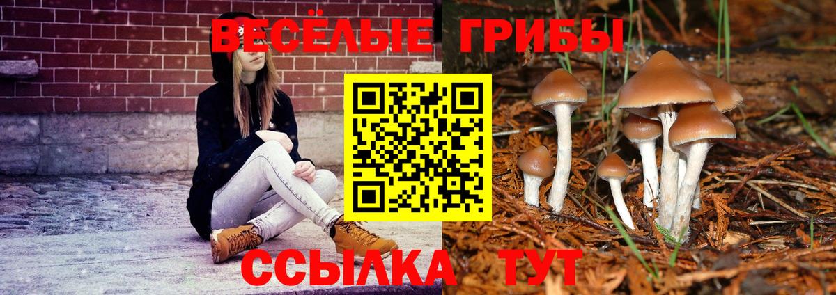 Борисоглебск  Псилоцибиновые грибы Cubensis  Вход с VPN  Псилоцибиновые грибы MAGIC MUSHROOMS 