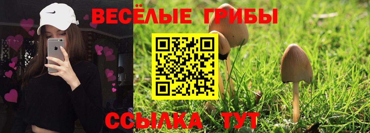 Псилоцибиновые грибы GOLDEN TEACHER Борисоглебск