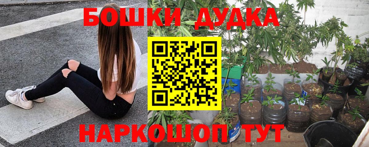 Шишки марихуана семена  Шишки марихуана план  Борисоглебск  Вход с VPN  Бошки марихуана ГИДРОПОН 
